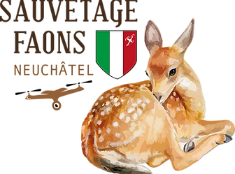 Sauvetage Faon Neuchâtel